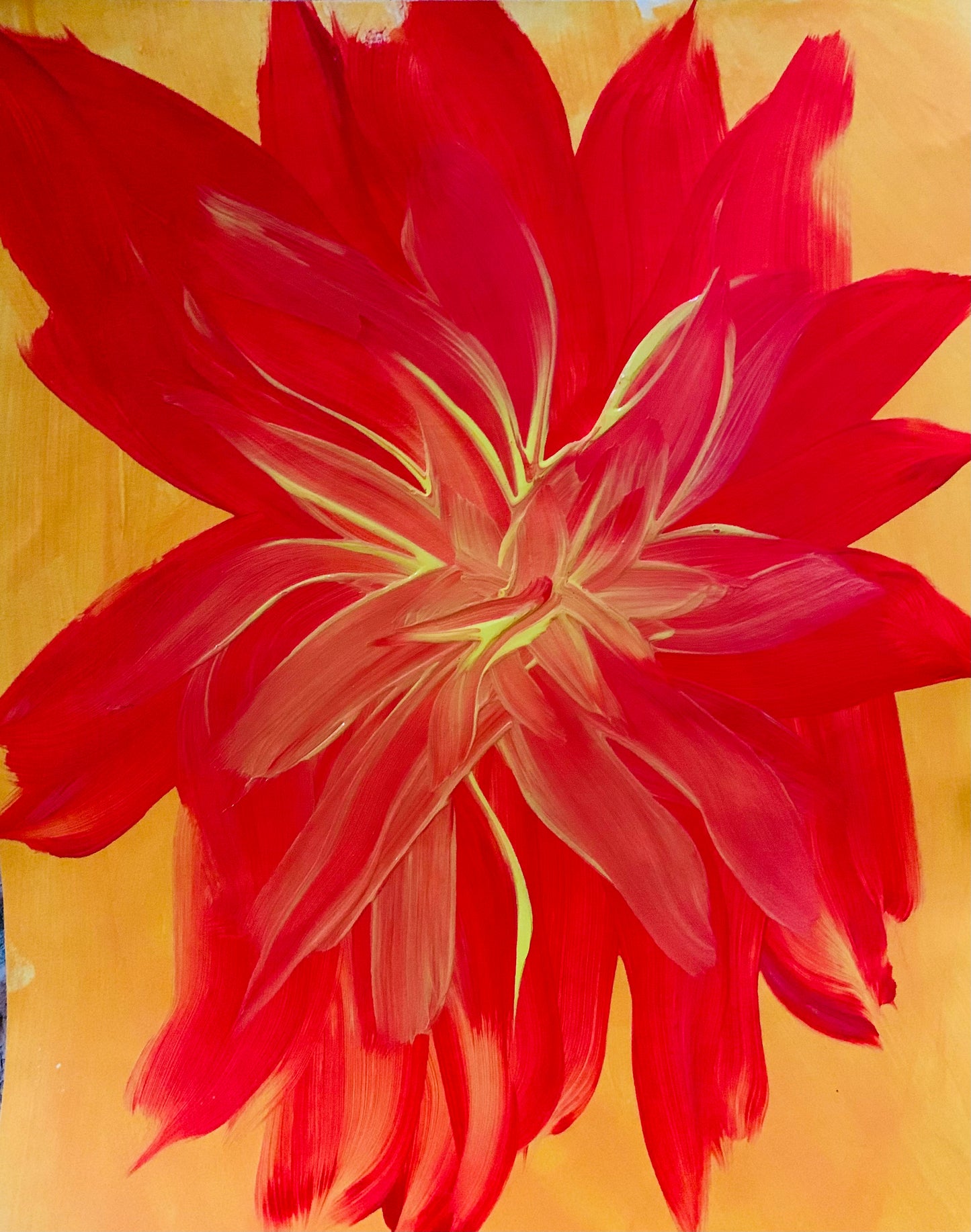 IMPALA LILY